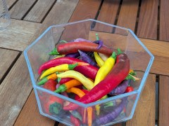 20260822_131500_Grillparty_Gourmetgrillen_Alex_Karpf_Gallbrunn.jpg