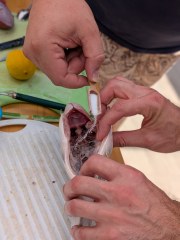 20260822_132033_Grillparty_Gourmetgrillen_Alex_Karpf_Gallbrunn.jpg