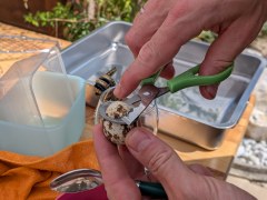 20260822_133502_Grillparty_Gourmetgrillen_Alex_Karpf_Gallbrunn.jpg